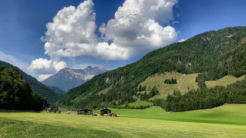 Scenic view of field against sky