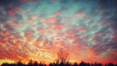 Low angle view of silhouette trees against dramatic sky