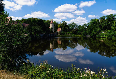 Reflection of trees in lake