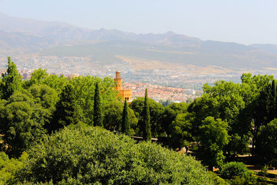 High angle view of trees on landscape against sky