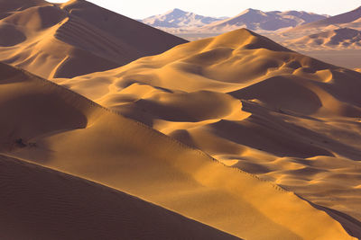 Scenic view of desert