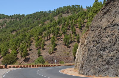 Road by trees against clear sky