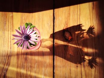 Close-up of purple flower on wood