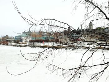 Bare tree and buildings against sky during winter