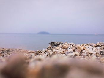Surface level of rocks at beach against sky