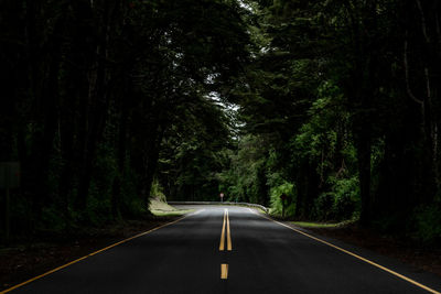 Empty road amidst trees in forest