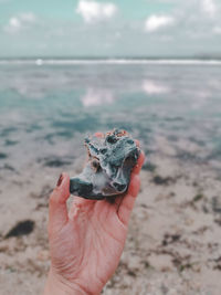 Close-up of hand holding leaf on beach