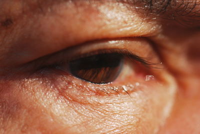 Close-up of human eye