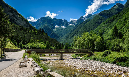 Stream flowing below bridge in forest