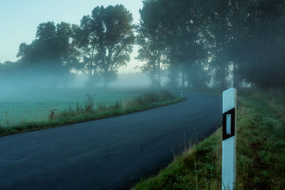 Road amidst trees on field