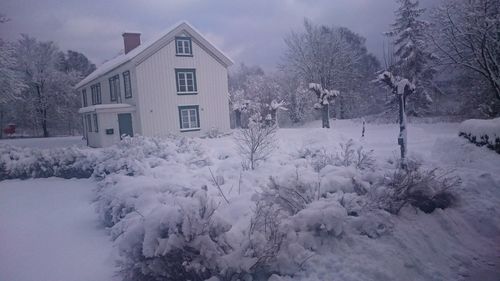 House and frozen trees during winter