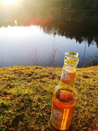 Close-up of beer bottles against trees during sunset