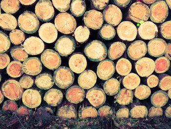 Full frame shot of logs in forest