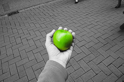 High angle view of person holding apple on street