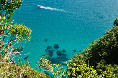 High angle view of sea and trees