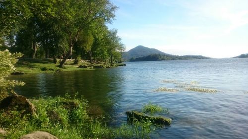 Scenic view of lake by trees against sky