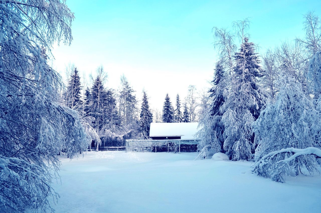 snow, winter, cold temperature, season, tree, weather, covering, bare tree, clear sky, tranquility, tranquil scene, frozen, nature, white color, built structure, beauty in nature, landscape, blue, covered, architecture