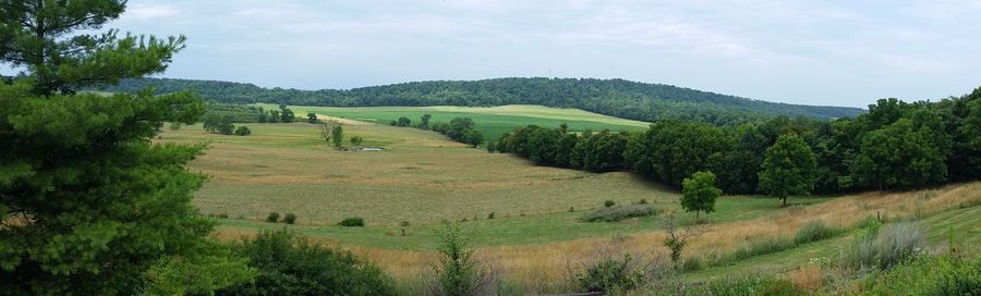 Scenic view of agricultural field against sky