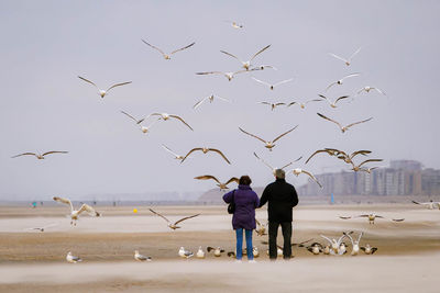 Low angle view of seagulls flying over sea against sky