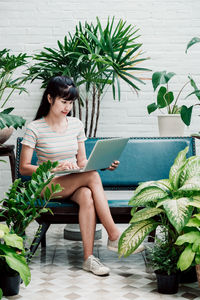 Young woman using phone while sitting on potted plant