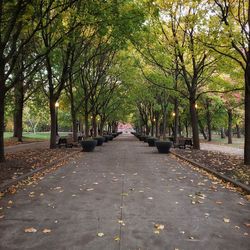 Empty footpath in park during autumn
