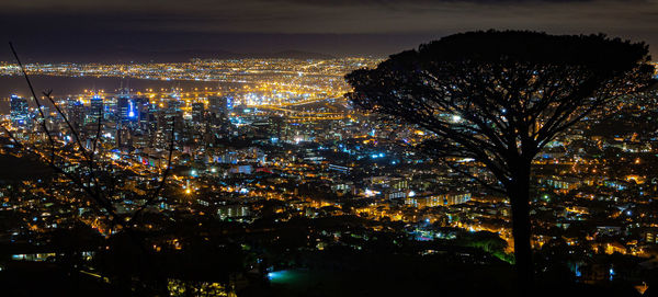 High angle view of illuminated trees and buildings at night