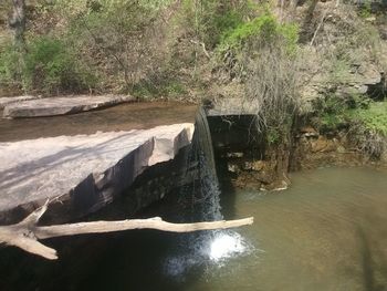 Scenic view of waterfall in forest