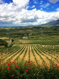 Scenic view of field against cloudy sky