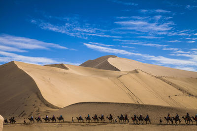 The desert ancient path