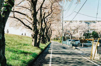 Road amidst trees and plants against sky