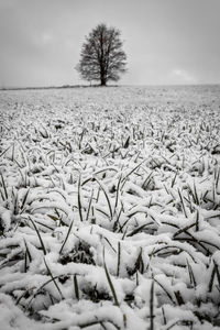 Scenic view of snow covered field against sky