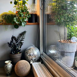 Potted plants on table by window