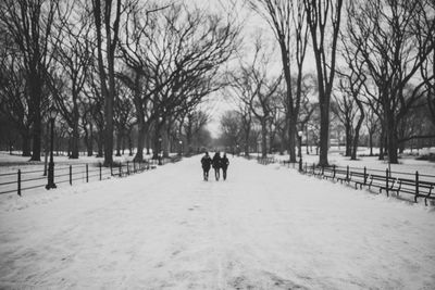 Snow covered road along bare trees