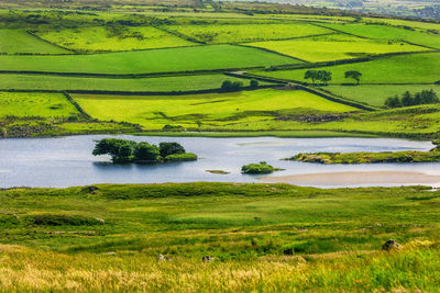 Scenic view of agricultural field