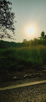 Scenic view of field against sky during sunset