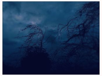 Low angle view of silhouette trees against sky