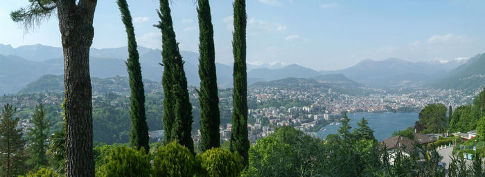 Panoramic shot of trees on landscape against sky