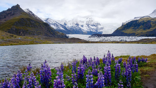 Scenic view of snowcapped mountains against sky
