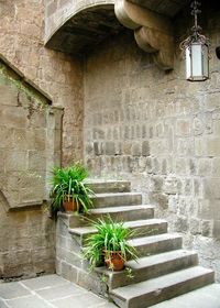 Potted plant against building