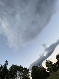 Low angle view of trees against cloudy sky