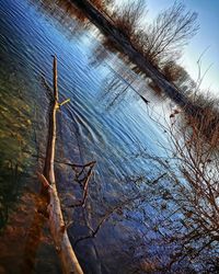 Low angle view of bare tree by lake