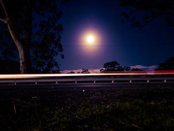 Light trails on tree at night