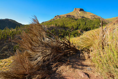 Scenic view of mountains against clear blue sky