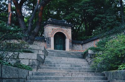 Low angle view of stairs along trees