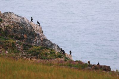 People standing on cliff by sea against sky