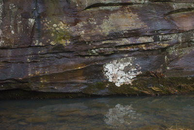 Close-up of rock