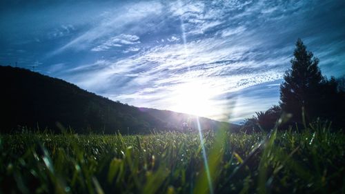 Sun shining through clouds over field