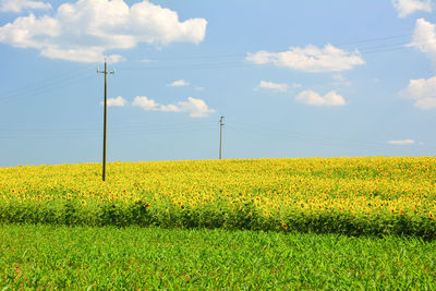 Electricity pylon on field against cloudy sky