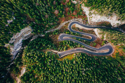 High angle view of road amidst trees in forest