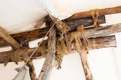 Low angle view of wood against sky